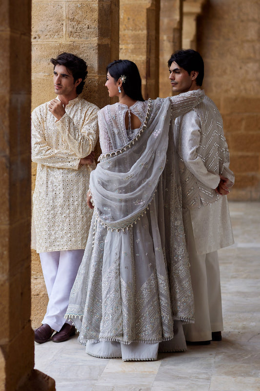 Afrozeh Dastangoi '26 Qissa Pakistani organza formal with dupatta