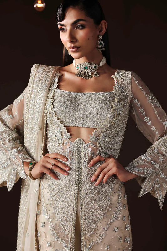 Shop organza embroidered dress with hand embellishments, raw silk trousers & dupatta. Features 3D floral details—perfect for weddings & festive wear.