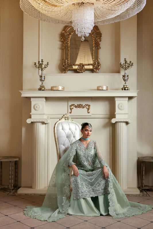 Elegant organza dress with hand-embellished front, sleeves, and borders. Paired with embroidered dupatta, Russian grip inner, and 4 yards of raw silk trouser.