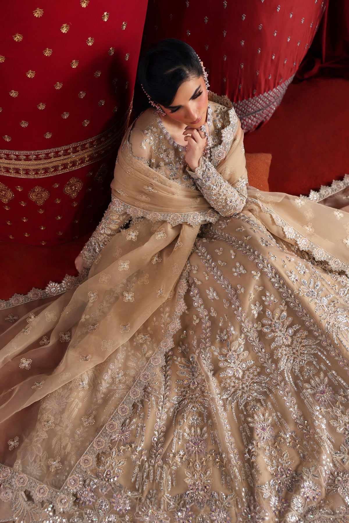 Akbar Aslam Parisa embroidered organza dupatta