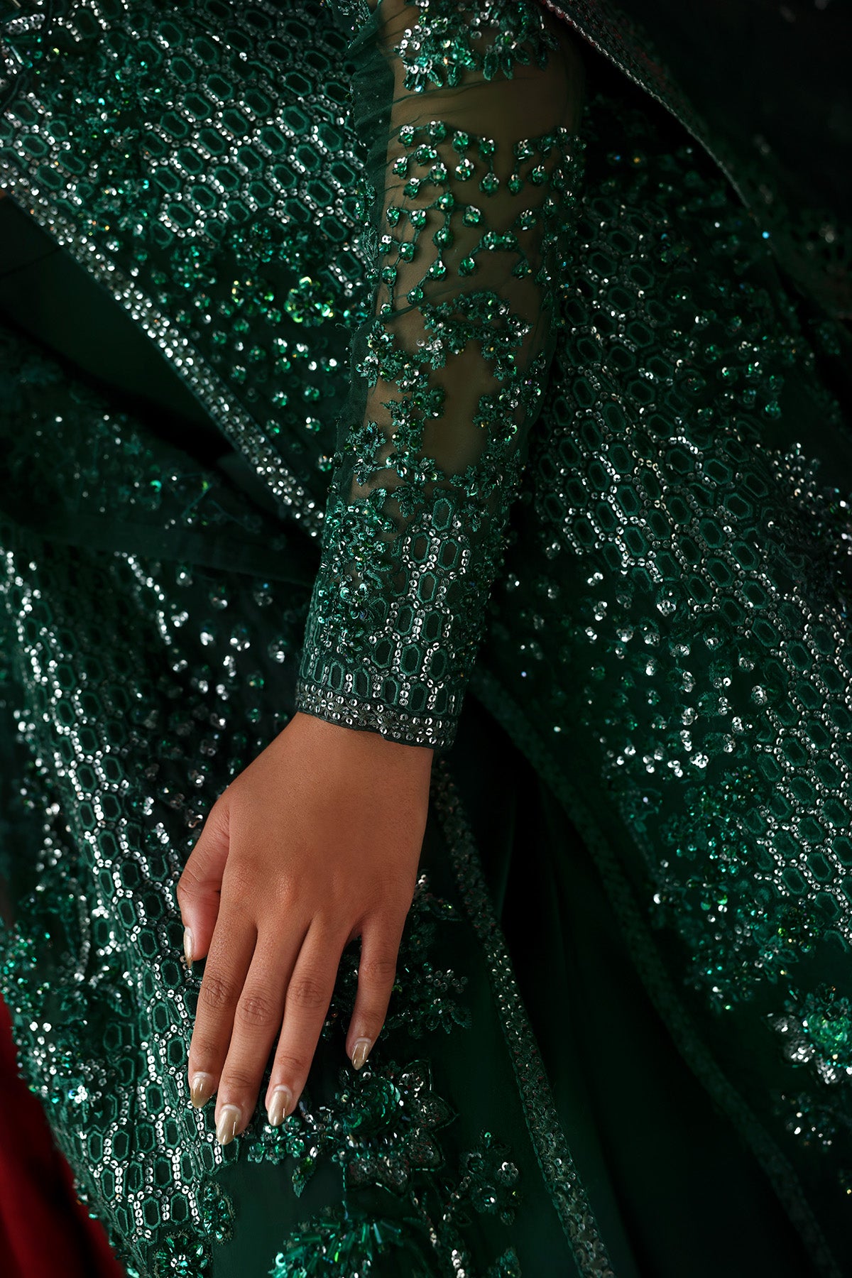 Afrozeh Hierophant organza dupatta and sleeve close-up