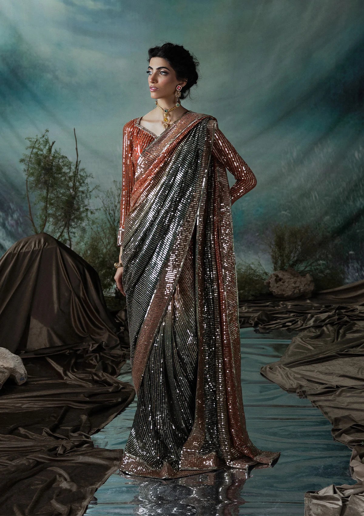 Elegant chiffon saree with printed and embroidered fall and pallu, paired with an embroidered chiffon blouse featuring organza neckline, borders, and a silk petticoat.