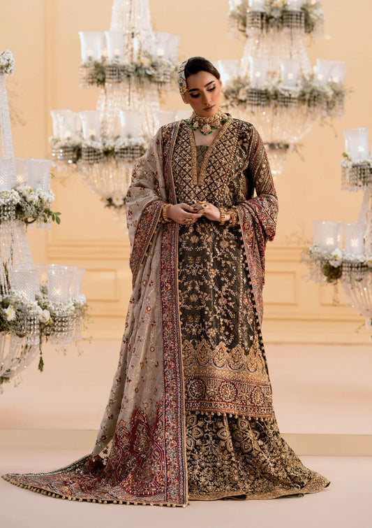 Luxurious organza ensemble with embellished front, intricate borders, jamawaar pants, embroidered net panels, and a tissue jaal dupatta. Styled as a long shirt with lehnga or gharara.