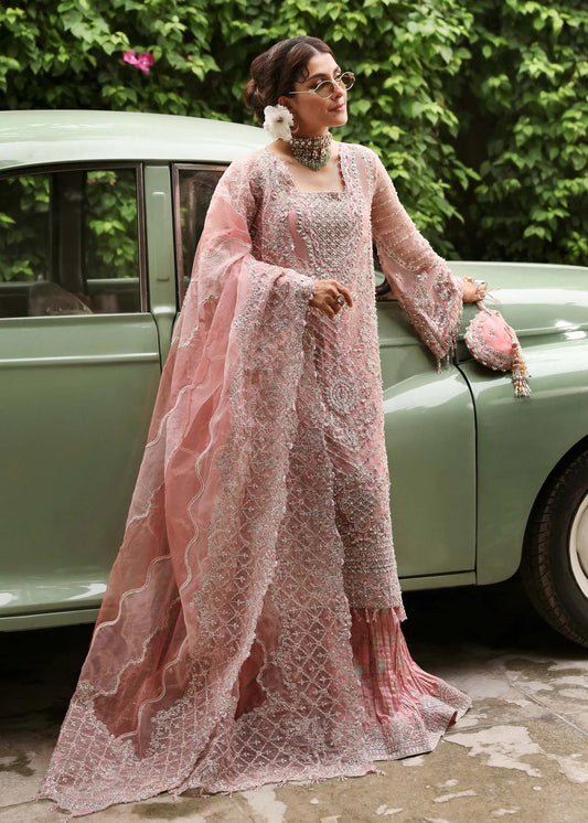 Ethereal blush rose suit with hand-embellished organza panels, ornate borders, and embroidered dupatta. A timeless choice for festive elegance.