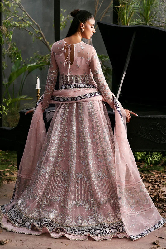 Graceful baby pink organza suit with embroidered panels, purple dupatta borders, and matching trouser — a chic festive and formal ensemble.