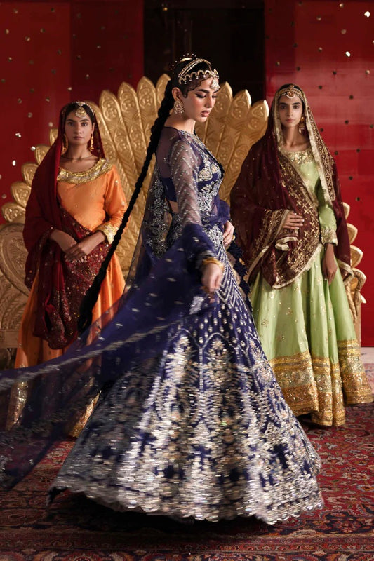 Exquisite net & organza outfit with embellished panels, blouse, sleeves, dupatta, belt & borders—crafted for timeless elegance and luxury style.