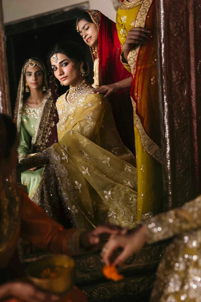 Stunning organza lehenga with embellished panels, blouse, sleeves, dupatta & borders, paired with raw silk inner—crafted for elegance and luxury.