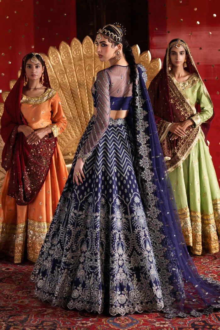 Exquisite net & organza outfit with embellished panels, blouse, sleeves, dupatta, belt & borders—crafted for timeless elegance and luxury style.