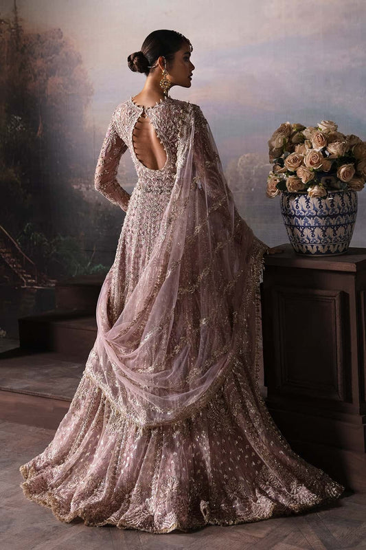 Luxurious net suit with embroidered panels, embellished sleeves, organza dupatta motifs, and raw silk trouser — a perfect festive ensemble.