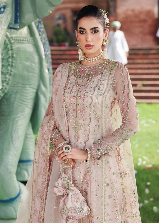 Elevate your style with this light pink organza outfit featuring hand-embroidered panels, dupatta with pallu border, and printed raw silk trouser for a refined look.