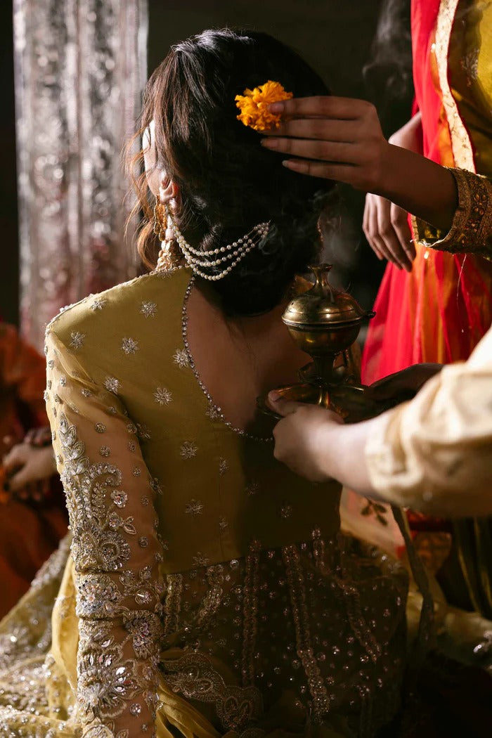 Stunning organza lehenga with embellished panels, blouse, sleeves, dupatta & borders, paired with raw silk inner—crafted for elegance and luxury.