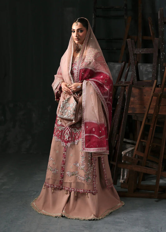Chic rose pink organza suit with applique panels, cutwork neckline, embroidered dupatta, raw silk trouser, and elegant borders for a timeless festive look.