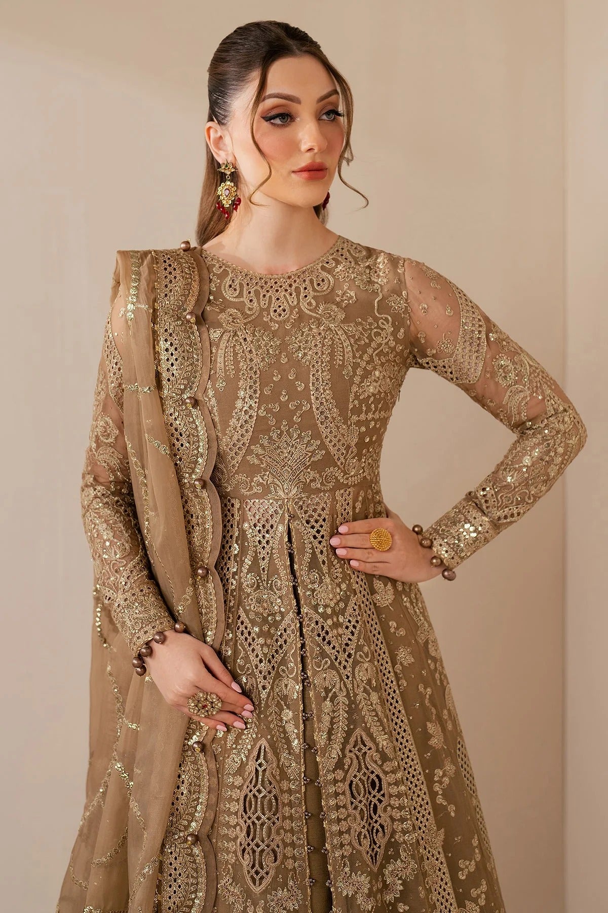 Make a statement in WF'25-04: a luxe chiffon dress with intricate embroidery, organza dupatta & rawsilk bottom. Ideal for formal & festive occasions.