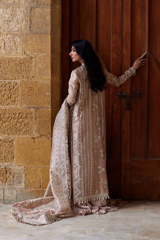 Afrozeh Dastangoi '26 Rang-e-Dastaan Pakistani formal with zari dupatta