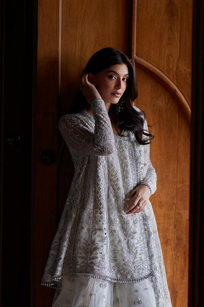 Afrozeh Afsun embroidered net sharara panels