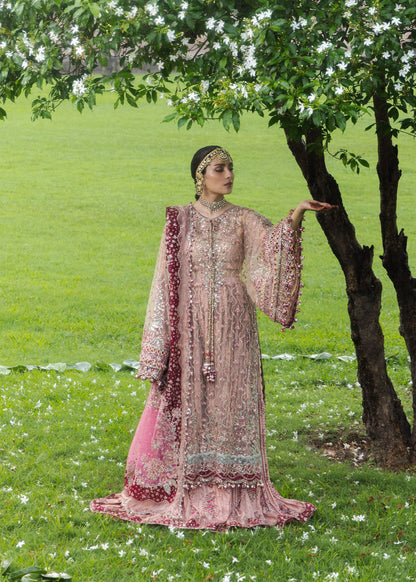 Hussain Rehar Gulrukh powder pink embroidered net shirt with sharara
