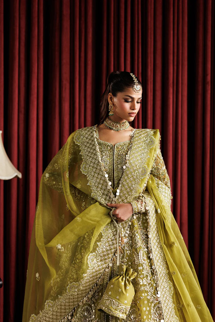 Shop elegant organza embroidered lehenga with hand embellished panels, sleeves & dupatta. Includes matt raw silk lehenga and inner fabric.