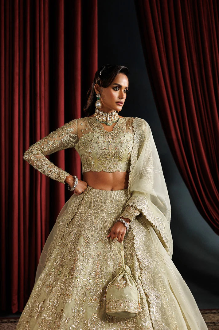 Elegant net embroidered lehenga with hand embellished panels & sleeves. Includes organza dupatta, kalli border and 6 yards inner fabric.
