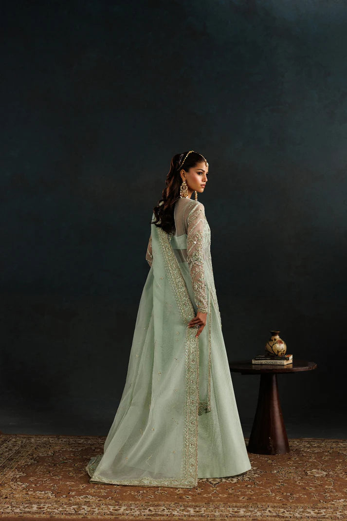 Elegant organza embroidered dress with hand embellished front, sleeves & borders. Includes embroidered dupatta, raw silk trouser and inner fabric.