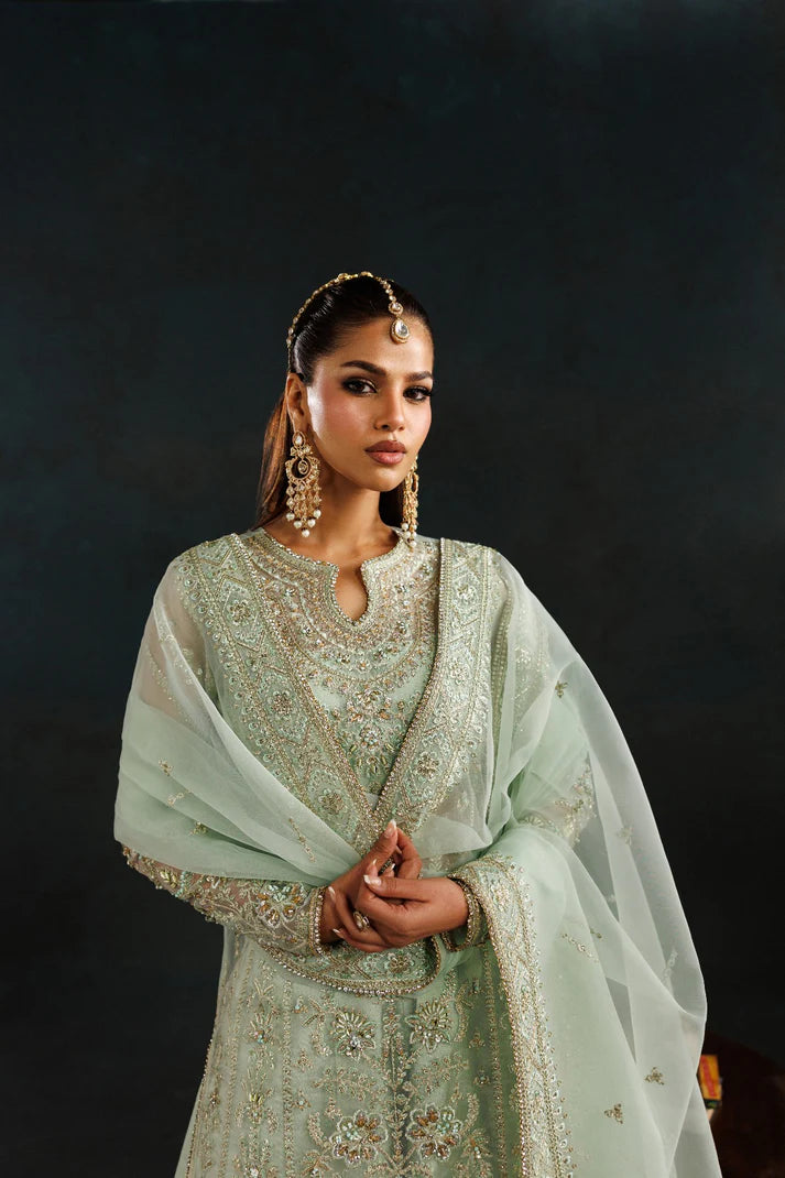 Elegant organza embroidered dress with hand embellished front, sleeves & borders. Includes embroidered dupatta, raw silk trouser and inner fabric.