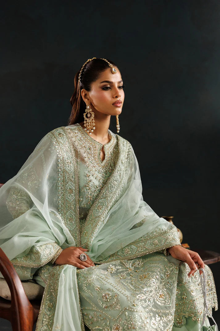 Elegant organza embroidered dress with hand embellished front, sleeves & borders. Includes embroidered dupatta, raw silk trouser and inner fabric.