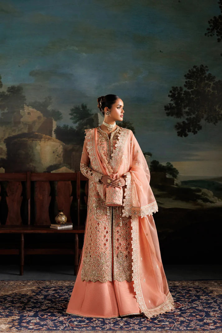 Elegant organza embroidered dress with hand embellished panels, sleeves & borders. Includes dupatta, raw silk trouser and inner fabric.