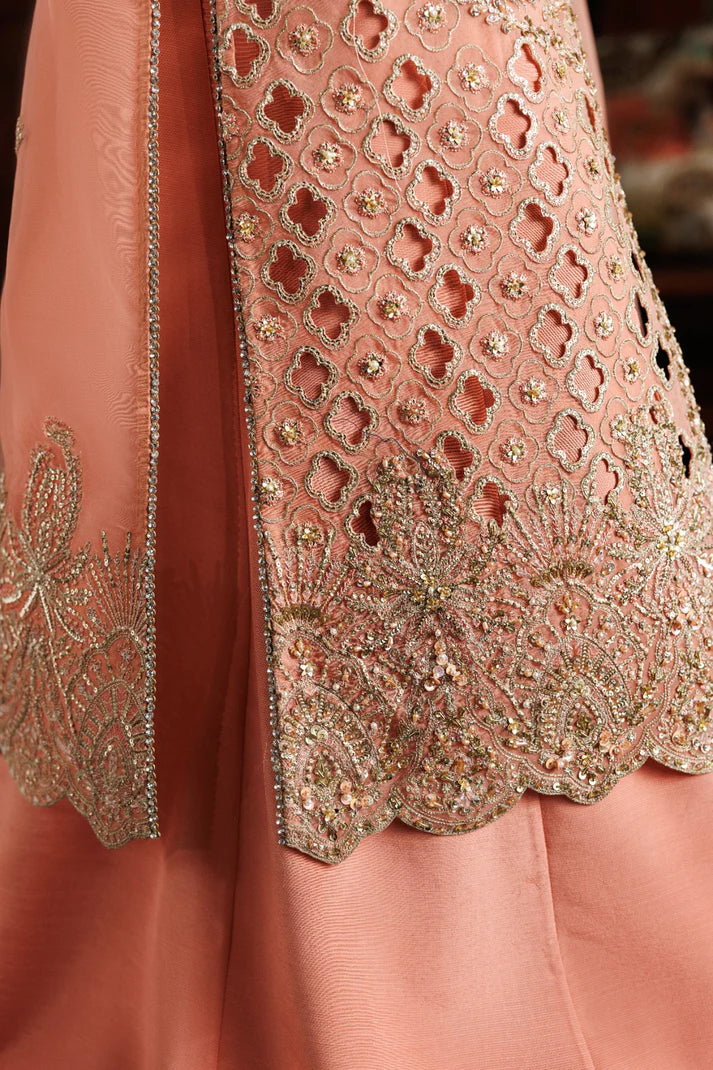 Elegant organza embroidered dress with hand embellished panels, sleeves & borders. Includes dupatta, raw silk trouser and inner fabric.