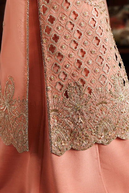 Elegant organza embroidered dress with hand embellished panels, sleeves & borders. Includes dupatta, raw silk trouser and inner fabric.