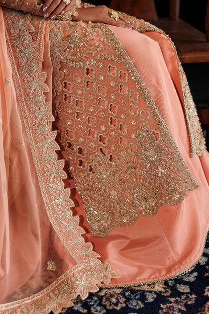 Elegant organza embroidered dress with hand embellished panels, sleeves & borders. Includes dupatta, raw silk trouser and inner fabric.