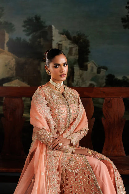 Elegant organza embroidered dress with hand embellished panels, sleeves & borders. Includes dupatta, raw silk trouser and inner fabric.