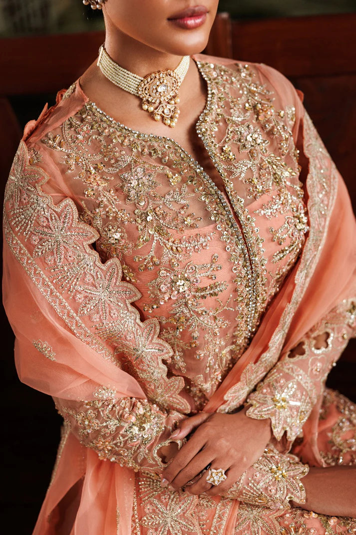 Elegant organza embroidered dress with hand embellished panels, sleeves & borders. Includes dupatta, raw silk trouser and inner fabric.