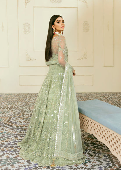 Akbar Aslam Florican organza border and sleeve detail