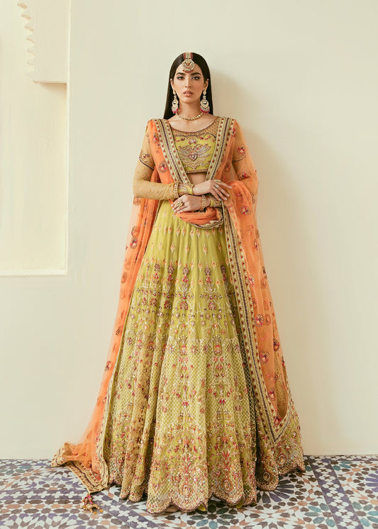 Akbar Aslam Makira embellished net blouse with panelled skirt