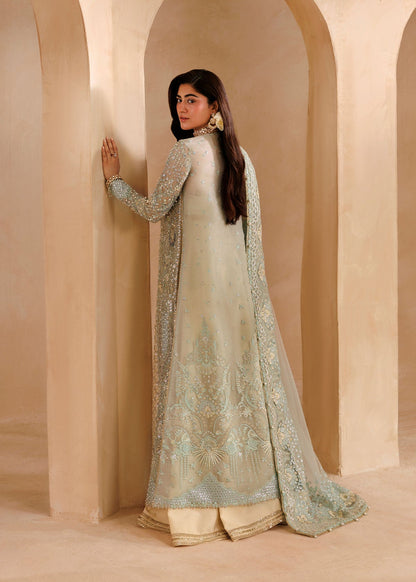 Sardinia Elysia with embroidered net dupatta and raw silk trouser