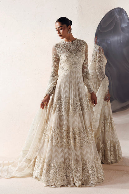 Akbar Aslam Vivienne embellished net Pakistani luxury formal gown