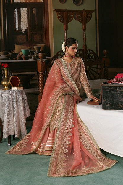 Afrozeh Aabroo embellished front panels and hem patches