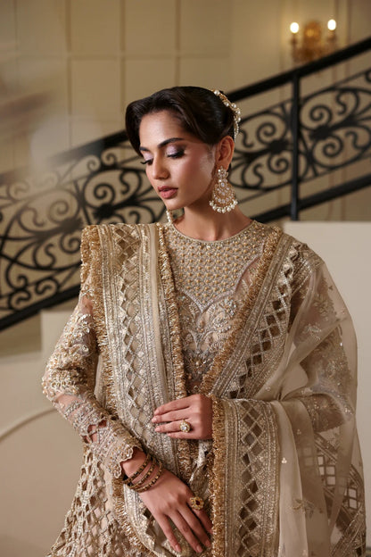 Luxurious hand-embellished organza dress with detailed panels, embroidered dupatta, Russian grip inner, and raw silk lehenga fabric for a regal ensemble.