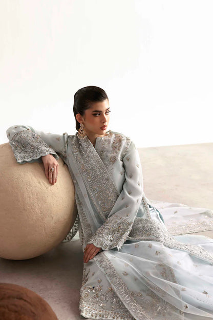 Elegant silk suit featuring hand-embroidered front, back, sleeves, chalk borders, dyed silk trouser, and a 3-yard organza dupatta for a complete festive look