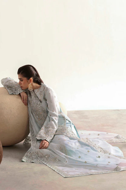 Elegant silk suit featuring hand-embroidered front, back, sleeves, chalk borders, dyed silk trouser, and a 3-yard organza dupatta for a complete festive look