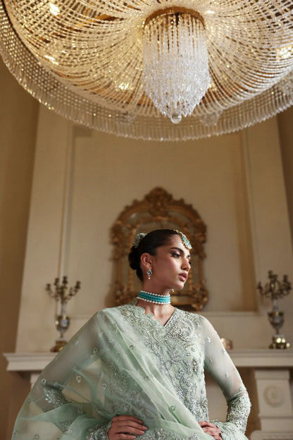 Elegant organza dress with hand-embellished front, sleeves, and borders. Paired with embroidered dupatta, Russian grip inner, and 4 yards of raw silk trouser.