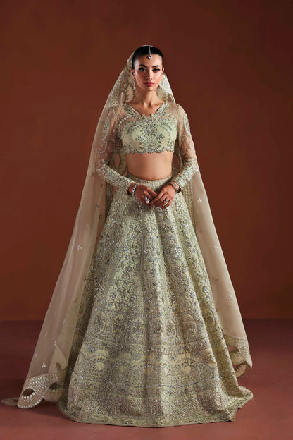 Shop organza embroidered dress with hand embellished panels, belt & dupatta. Includes inner—perfect for weddings, parties & festive wear.