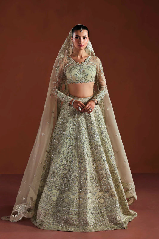 Shop organza embroidered dress with hand embellished panels, belt & dupatta. Includes inner—perfect for weddings, parties & festive wear.