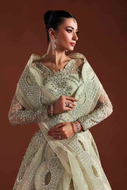 Shop organza embroidered dress with hand embellished panels, belt & dupatta. Includes inner—perfect for weddings, parties & festive wear.