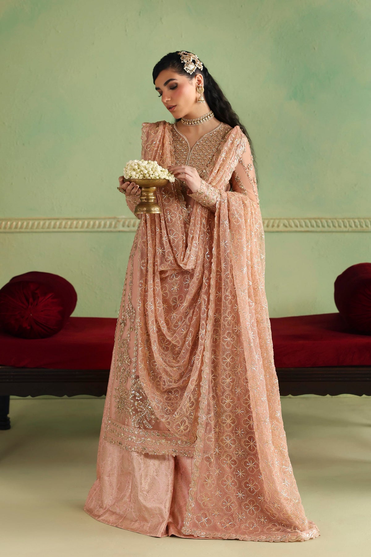 Akbar Aslam Arshia organza front border detail