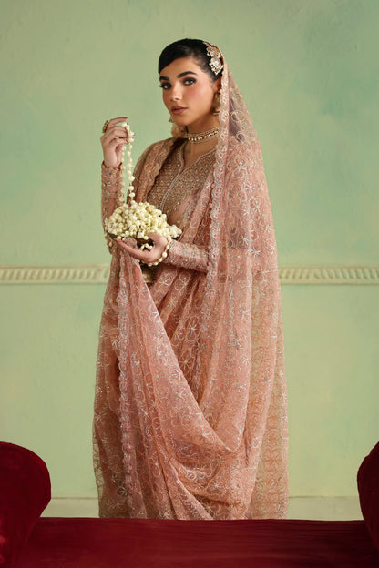 Akbar Aslam Arshia back view with organza back border