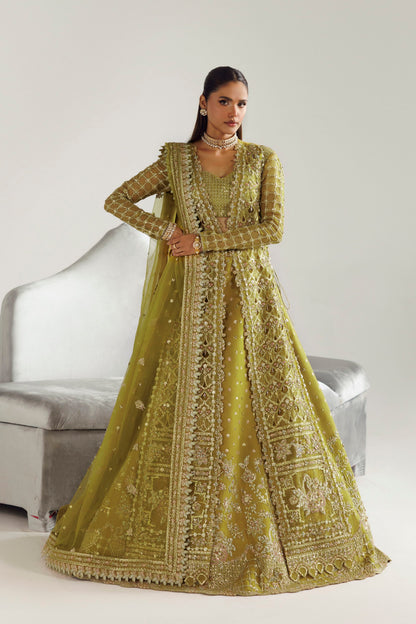 Akbar Aslam Daria Pakistani formal with net dupatta