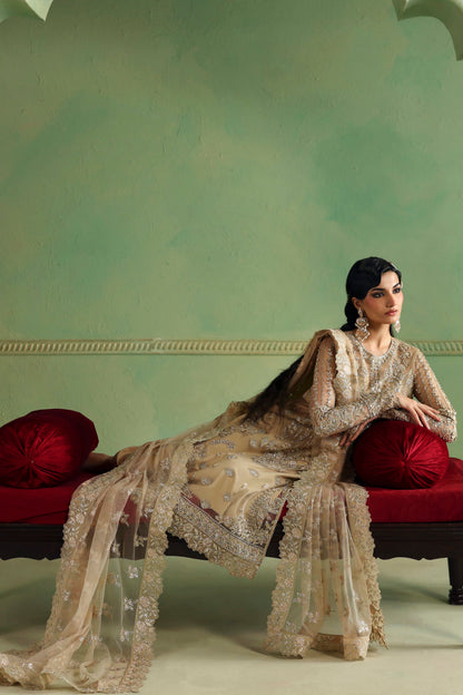 Akbar Aslam Zareefa back view with organza back border