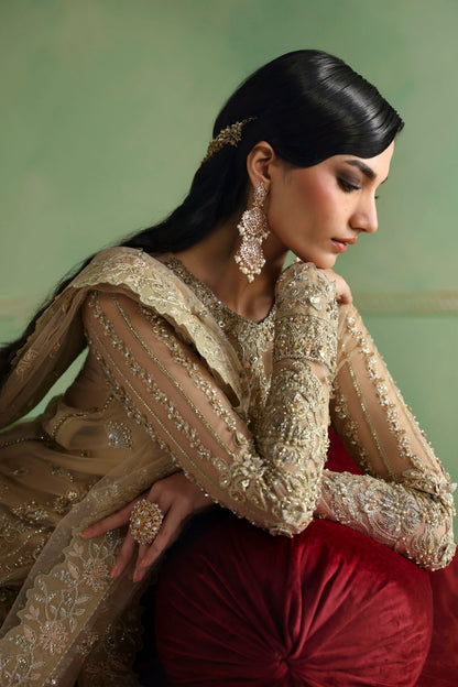 Akbar Aslam Zareefa embroidered net dupatta with organza border