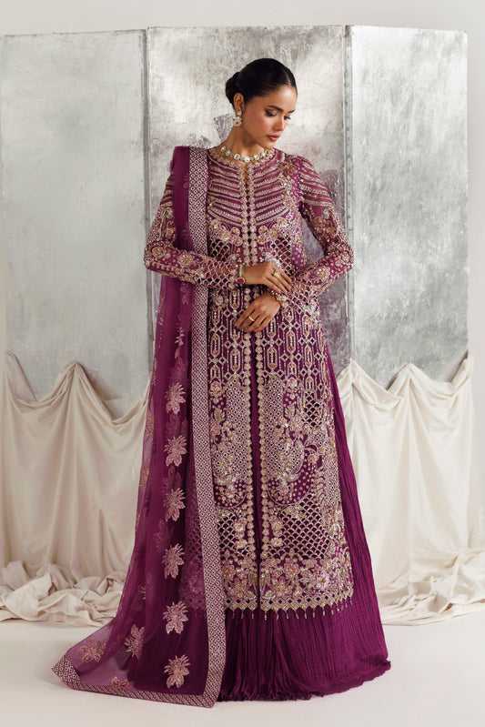 Akbar Aslam Laira hand-embellished organza Pakistani formal