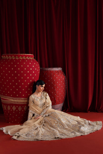 Akbar Aslam Parisa lehenga border detail